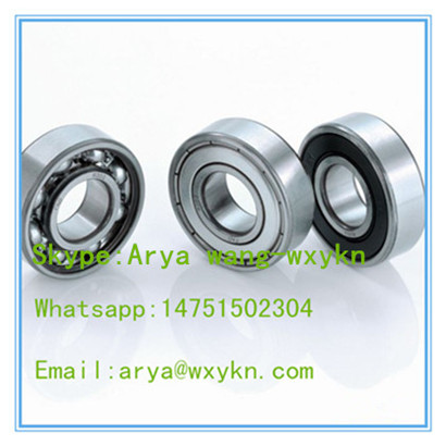 6006 Deep Groove Ball Bearing 30x55x13mm