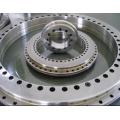 YRTS395 rotary table bearing