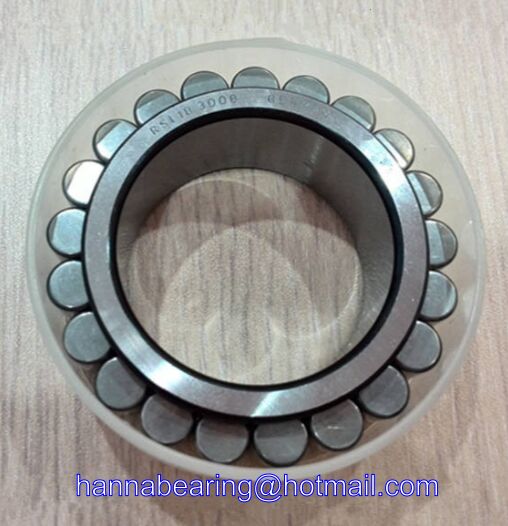 RSL18 2317 Full Complement Cylindrical Roller Bearing (Without Cup) 85x163.01x60mm