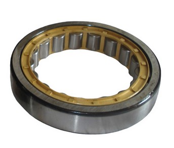 NU2304E Cylindrical roller bearing 20x52x21mm