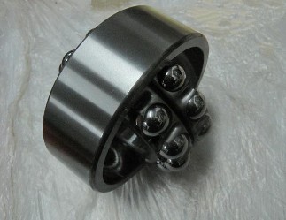 SK 2309 Self-aligning ball bearings