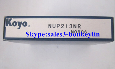 NUP213NR Cylindrical Roller Bearings 65x120x23mm