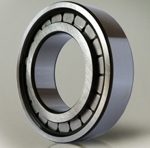 SL182213 full complement cylindrical roller bearing