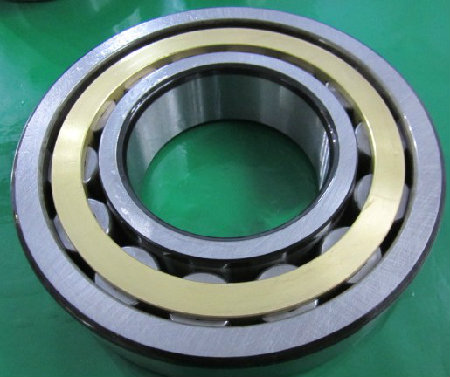 Cylindrical Roller NU319E.M1 Bearing