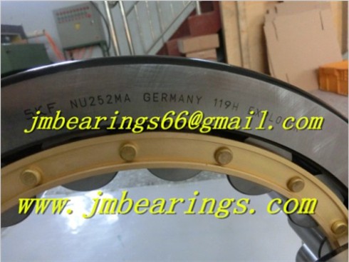 N204E Cylindrical Roller Bearing 20X47X14MM