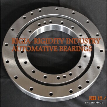 RKS.901175101001 slewing bearing