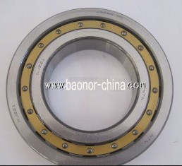 Cylindrical Roller NJ221 Bearing