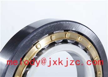 NU1026ECM/C3J20C insulated bearing