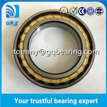 N1021-K-M1-SP Cylindrical Roller Bearing