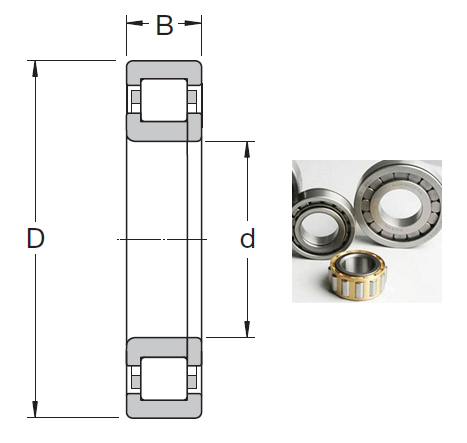 NUP 2224 ECML Cylindrical Roller Bearings 120*215*58mm