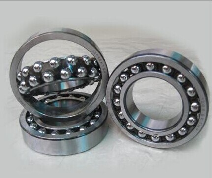 Large motors F-804464.ZL-K-C3 cylindrical roller bearing