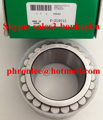 F-217040 Cylindrical Roller Bearing 55x100x31mm