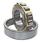 N1008M/P6 Cylindrical roller bearing