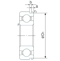 Bearing 6021N