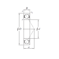 Bearing 78/500