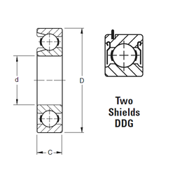 Bearing 313WDDG