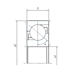 Bearing 50TAF11